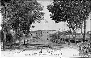 Sidi-bel-abbes- arenes 02